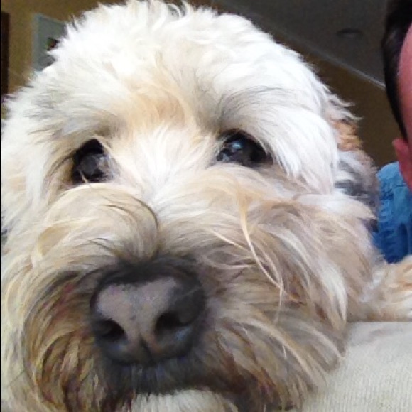 Meet your Posher, Lori-anne - Picture 1 of 1